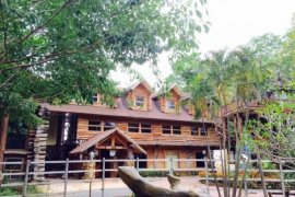 15 Bedroom Commercial for sale in Rong Wua Daeng, Chiang Mai