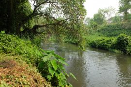 Land for sale in Pa Bong, Chiang Mai