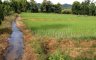 Land for sale in Huai Kaeo, Chiang Mai
