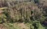 Land for sale in Samoeng Nuea, Chiang Mai