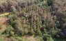 Land for sale in Samoeng Nuea, Chiang Mai