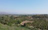 Land for sale in Ban Luang, Chiang Mai