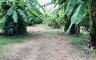 Land for sale in San Phi Suea, Chiang Mai