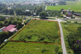 Land for sale in San Klang, Chiang Mai