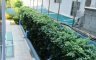 Condo for sale in Acqua, Jomtien, Chonburi