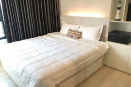1 Bedroom Condo for rent in Life Asoke, Bang Kapi, Bangkok near MRT Phetchaburi