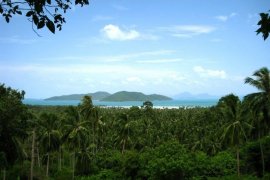 Land for sale in Ko Samui, Surat Thani