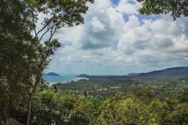 Land for sale in Ko Samui, Surat Thani