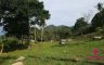 Land for sale in Ko Samui, Surat Thani