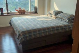 1 Bedroom Condo for sale in Circle Condominium, Makkasan, Bangkok near Airport Rail Link Makkasan 1 Bedroom Condo for sale in Circle Condominium, Makkasan, Bangkok near Airport Rail Link Makkasan