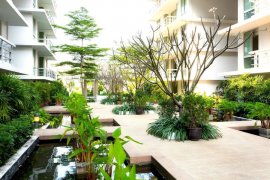 2 Bedroom Condo for Sale or Rent in The Waterford Sukhumvit 50, Phra Khanong, Bangkok near BTS On Nut 2 Bedroom Condo for Sale or Rent in The Waterford Sukhumvit 50, Phra Khanong, Bangkok near BTS On Nut