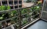 2 Bedroom Condo for rent in The peony, Chong Nonsi, Bangkok near MRT Khlong Toei 2 Bedroom Condo for rent in The peony, Chong Nonsi, Bangkok near MRT Khlong Toei