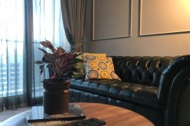 1 Bedroom Condo for rent in Hyde Sukhumvit 11, Khlong Toei Nuea, Bangkok near BTS Nana 1 Bedroom Condo for rent in Hyde Sukhumvit 11, Khlong Toei Nuea, Bangkok near BTS Nana