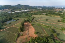 Land for sale in Pran Buri, Prachuap Khiri Khan