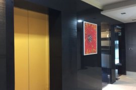 1 Bedroom Condo for rent in The Master Centrium Asoke - Sukhumvit, Khlong Toei Nuea, Bangkok near MRT Sukhumvit