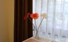 1 Bedroom Condo for rent in MODE Sukhumvit 61, Khlong Tan Nuea, Bangkok near BTS Ekkamai