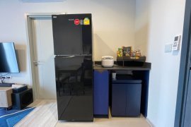 1 Bedroom Condo for rent in XT Ekkamai, Khlong Tan Nuea, Bangkok