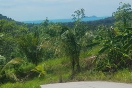 Land for sale in Ko Samui, Surat Thani
