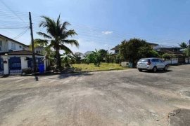 Land for sale in Pak Phun, Nakhon Si Thammarat