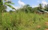 Land for sale in Tha Kham, Surat Thani