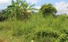 Land for sale in Tha Kham, Surat Thani