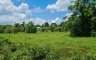 Land for sale in Mueang Nakhon Si Thammarat, Nakhon Si Thammarat