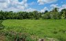 Land for sale in Mueang Nakhon Si Thammarat, Nakhon Si Thammarat