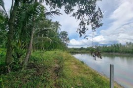 Land for sale in Thung Prang, Nakhon Si Thammarat