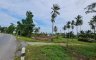 Land for sale in Sichon, Nakhon Si Thammarat