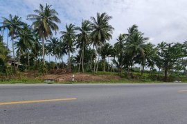 Land for sale in Sichon, Nakhon Si Thammarat