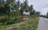 Land for sale in Sichon, Nakhon Si Thammarat