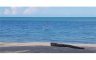 Land for sale in Klai, Nakhon Si Thammarat