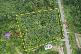 Land for sale in Phra Phrom, Nakhon Si Thammarat