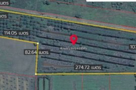 Land for sale in Chang Sai, Nakhon Si Thammarat