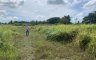 Land for sale in Tha Sak, Nakhon Si Thammarat