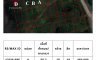 Land for sale in Tha Sak, Nakhon Si Thammarat