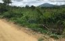 Land for sale in Thung Sai, Nakhon Si Thammarat