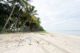 Land for sale in Sa Kaeo, Nakhon Si Thammarat