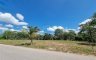 Land for sale in Khuan Thong, Nakhon Si Thammarat