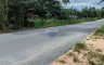 1 Bedroom House for sale in Thung Prang, Nakhon Si Thammarat