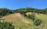 Land for sale in Thung Samo, Phetchabun