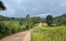Land for sale in Thung Samo, Phetchabun