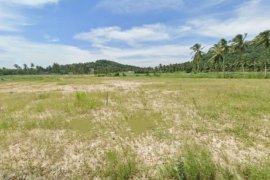 Land for sale in Si Racha, Chonburi