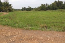 Land for sale in Na Roek, Chonburi