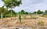 Land for sale in Huai Kapi, Chonburi